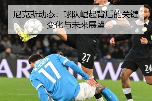 尼克斯动态：球队崛起背后的关键变化与未来展望