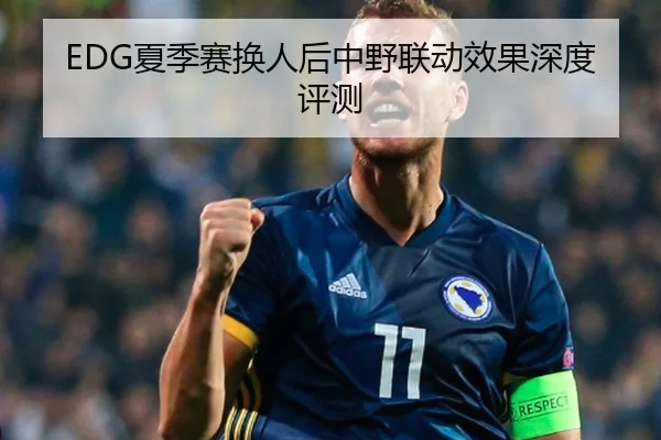 EDG夏季赛换人后中野联动效果深度评测